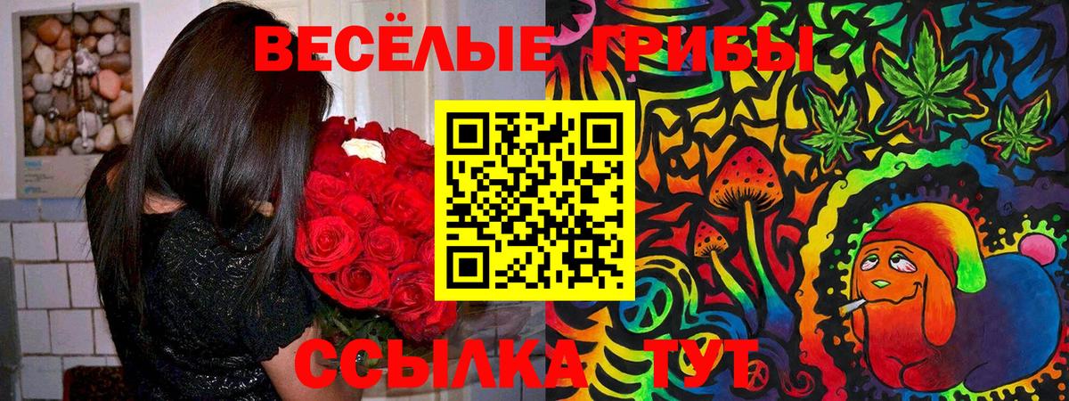 Псилоцибиновые грибы мицелий Узловая