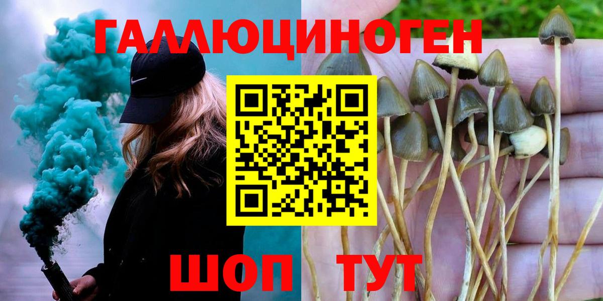 Галлюциногенные грибы прущие грибы  Вход с VPN  Узловая 